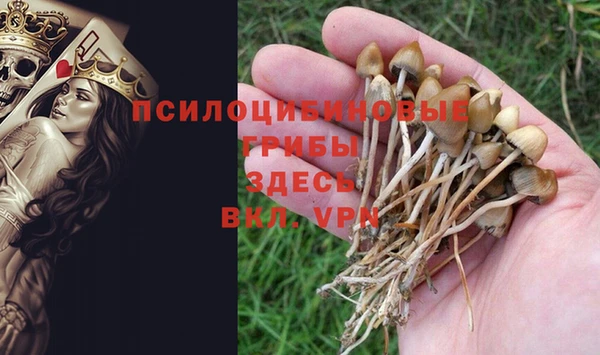 ALPHA-PVP Волоколамск