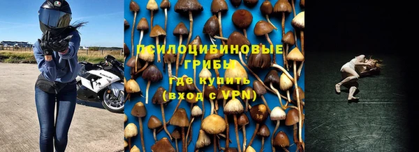 молекула духа Волосово