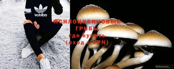 молекула духа Волосово