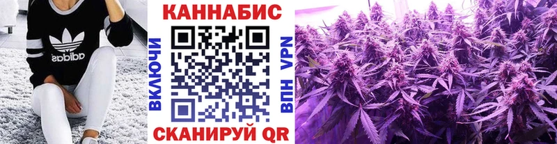 Купить где  Кудрово  Каннабис конопля 